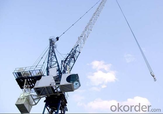 Tower Crane of TCD320 Luffing Crane with Max Load Capacity of 25 Ton