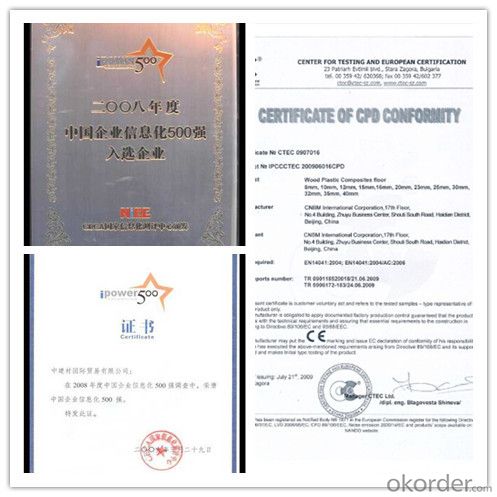 Durable Football Artificial Grass (W50) CE Certification