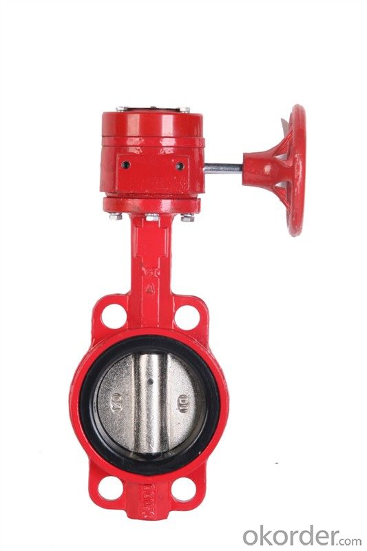 Butterfly Valve High Quality Ductile Iron Marine Stainless Steel