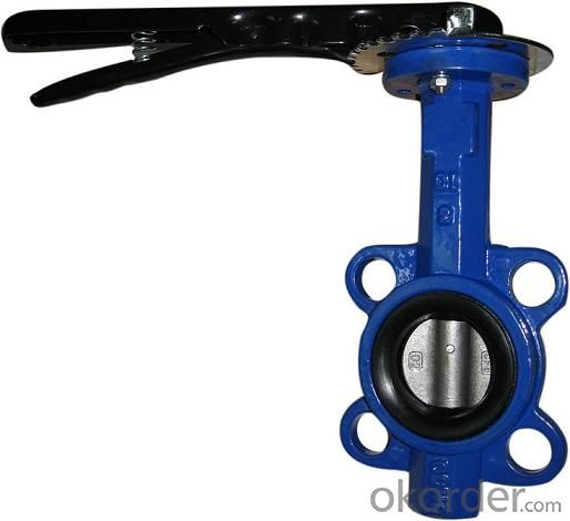 Butterfly Valve Ductile Iron Cast Iron Can be Customised High Quality