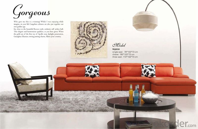 Leather Living Room Furniture of Environmental Material