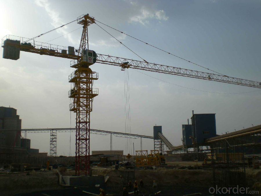 Guaranteed Meida Self Raising 6 Tons QTZ 5013 Tower Crane