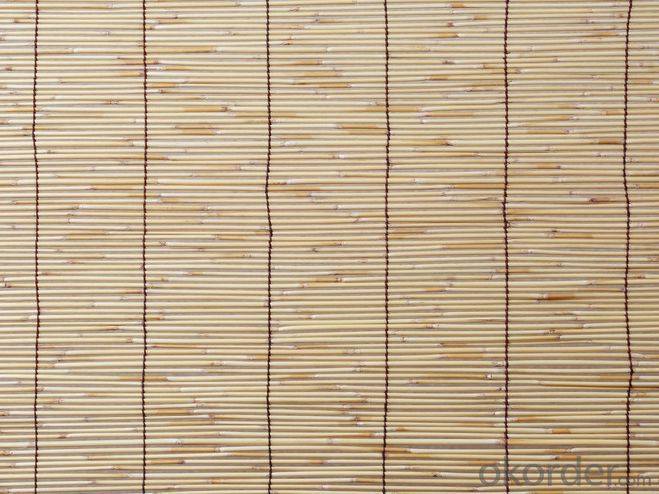 Natural Bamboo Backyard Fence Bamboo Screen