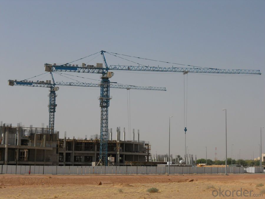Tower Crane Low price From CNBM CMAX