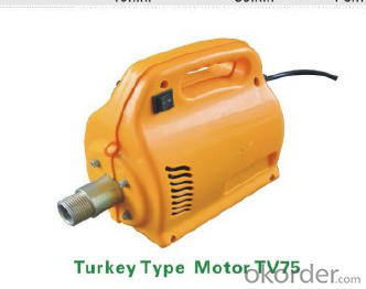 Portable Gasoline/Petrol Concrete Vibrator With Vibrator Hose Shaft Turkey Type