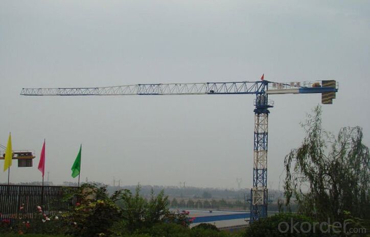 Toples Tower Crane TCP5023 With Jib length of  50M
