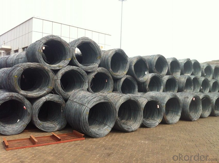SAE1008 Wire Rods with Competitive Price and Quality