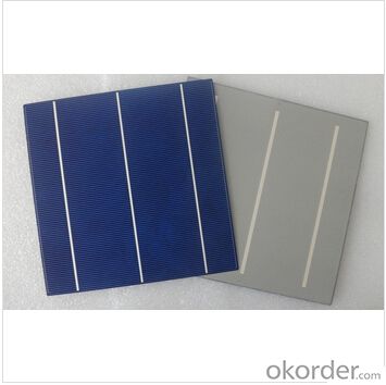 Polycrystalline Solar Cell High Quality 17.00-17.19Effy