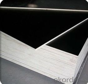 Poplar Core Black Film Faced Plywood for Construction Use