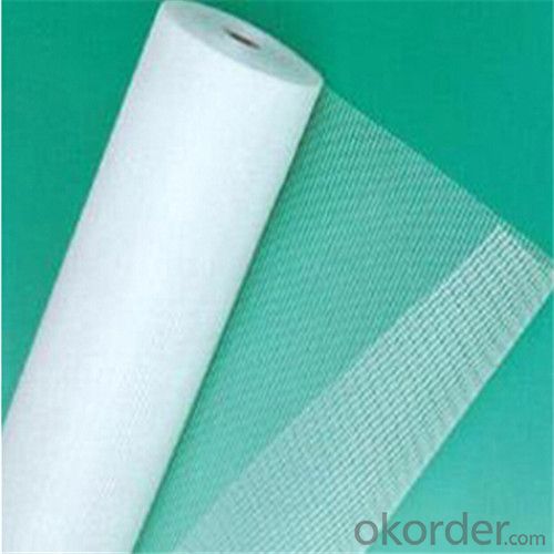 Alkali Resistant Coated Fiberglass Mesh Cloth 95g/m2 10*10MM Good Price Hot Selling