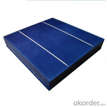 Polycrystalline Solar Cell High Quality 190um ± 20um