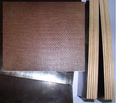 Wiremesh Design Anti-Slippery Film Faced Plywood