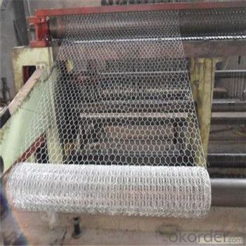 Hexagonal Wire Mesh Chicken Wire Netting Galvanized 3/8