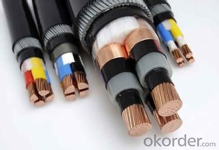 Copper Conductor XLPE Insulated Steel Wire Armored Electric Cable