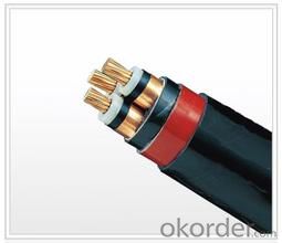 PVC Sheathed Steel Wire Armored Single-core Electric Cable 0.6/1kV