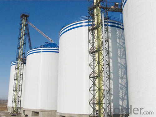 Hot Galvanized 10 Ton Silo for Feed,Corrosion and Rust Protection