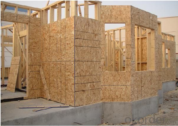 OSB3 Board For Builidng Houses and Decoration