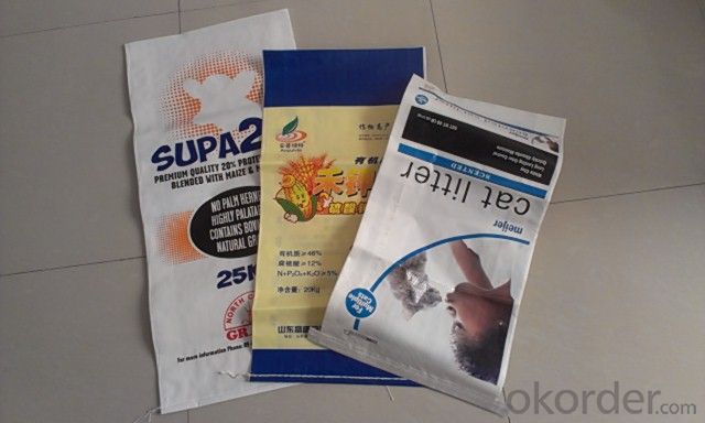 PE Laminated PP Woven Bag for Packaging in Industry