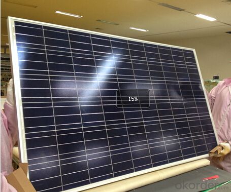 Polycrystalline Solar Panels for 250W Series