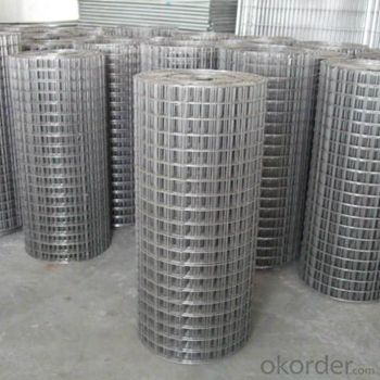 6x7 Electric Galvanized Welded Wire Mesh (china supplier)