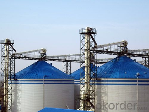 All-round Safety Poultry Feed Bins, Feed Silo Bins Used for Poultry Equipment