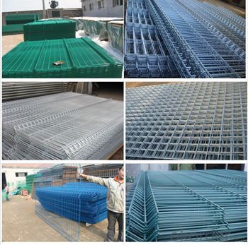 2x2 electro / hot dipped Galvanized Welded Wire Mesh (professional factory)