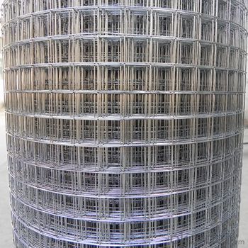 Welded Iron/Stainless Steel Wire Mesh 50X50(manufacturer)
