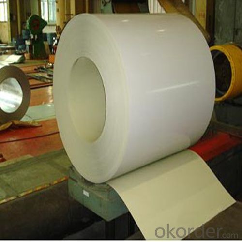 Prepainted Galvanized Steel Sheet in Coils PPGI