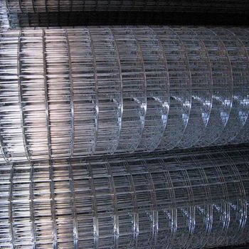 fine 1 inch Galvanized/Stainless Steel Welded Wire Mesh Rolls(china manufacturer)