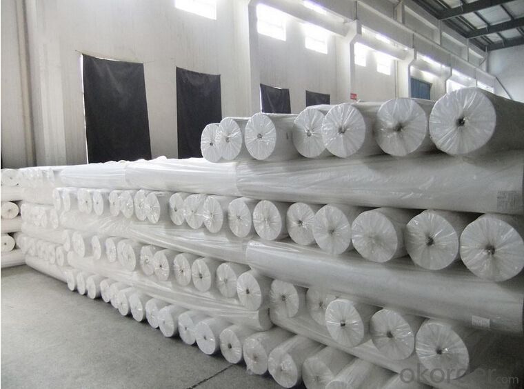 Geotextile for Slope Protection Needle Punched