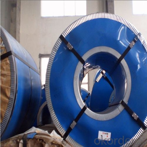 Stainless Steel Coil Hot Rolled Cold Rolled in Sale