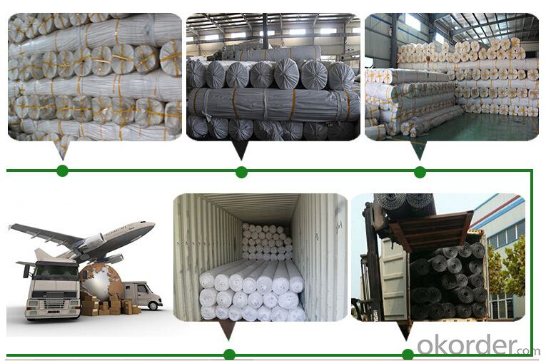 Coastal Beach Geotextile PP Woven Geotextile