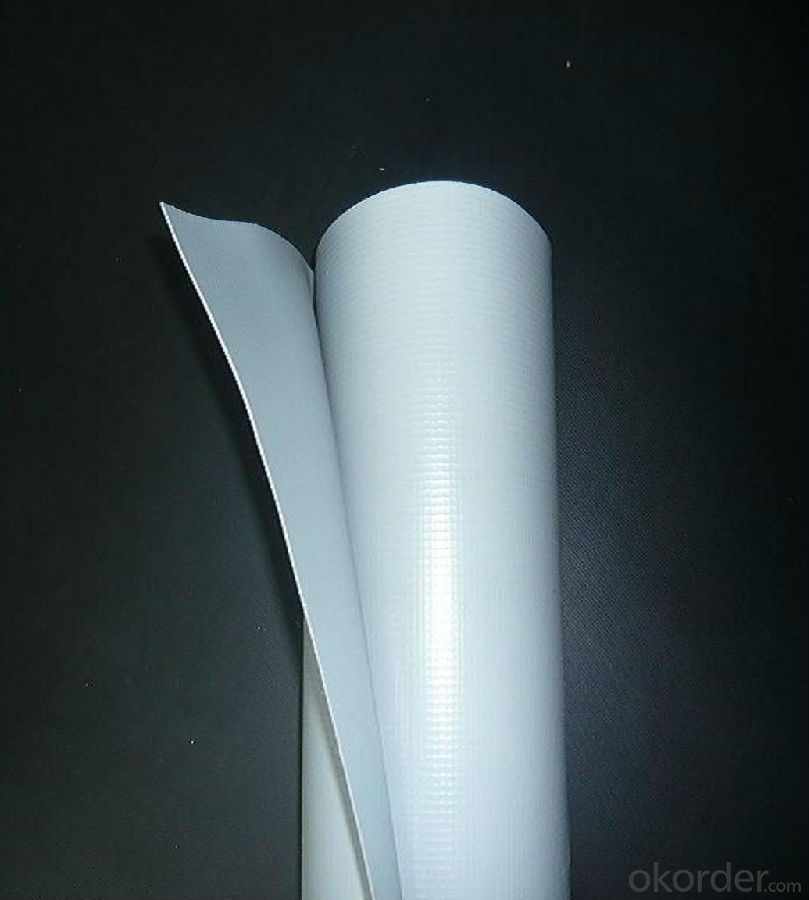 PVC Waterproofing Plastic Membrane for Construction