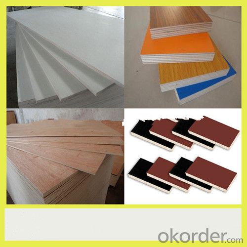 Poplar and Combi Material Film Faced Plywood
