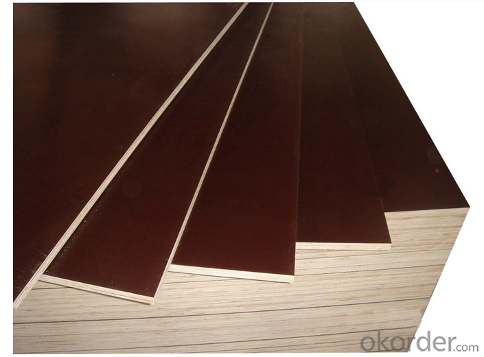 Brown Color Poplar Material Film Faced Plywood