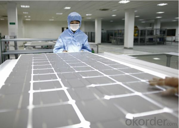 Polycrystalline Silicon Solar Panel 255W CNBM