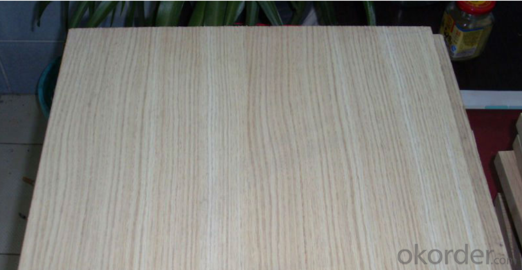 Phenolic Glue Commercial Plywood for 18mm Thickness