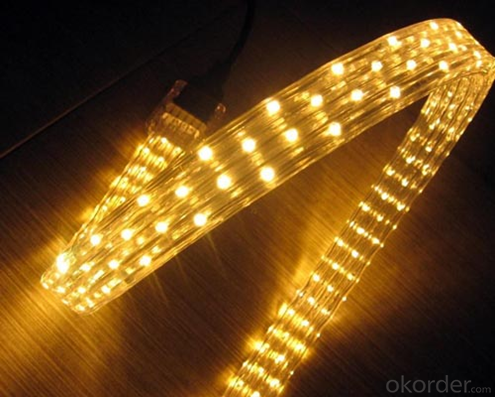 Waterfroof Led Strip Light