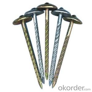 BWG13 Umbrella Head Roofing Nail Galvanized Nail High Quality