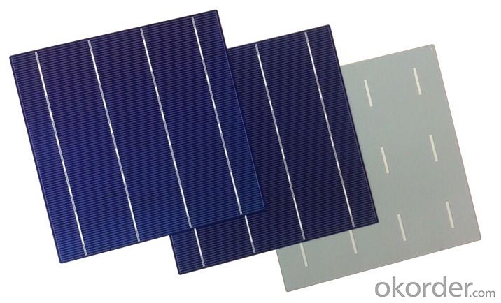 ​156 x 156mm Polycrystalline Silicon Solar Cell