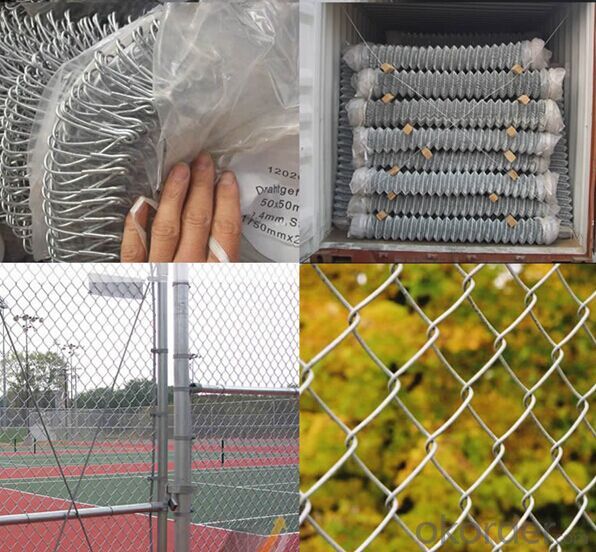 Vinyl Coated Roll  Chain  Link Wire Mesh Fence