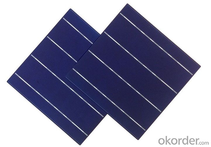 6 Inch Multi Silicon Solar Cells 156 x 156 mm