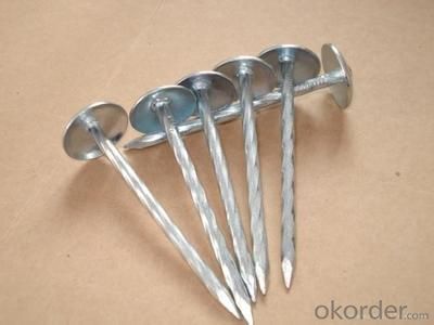 Galvanized Roofing Nails with Umbrella Head With Good Quality