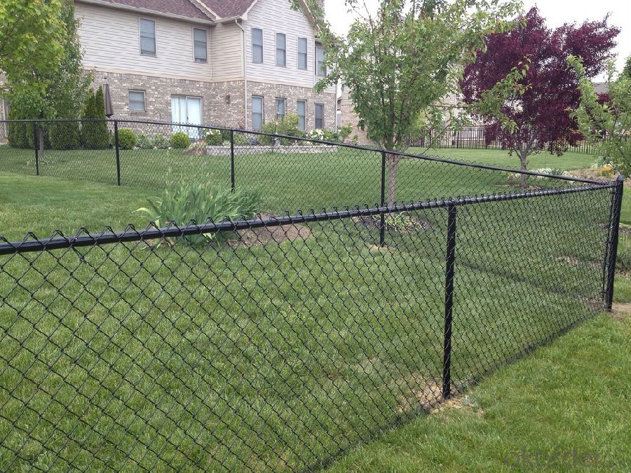 Playground Fencing PVC Coated  Chain Link Fence