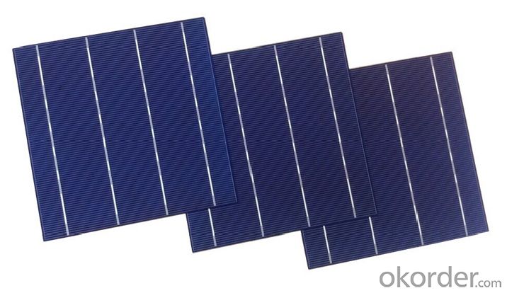 Monosolicion Solar Cells Poly 156mm*156mm