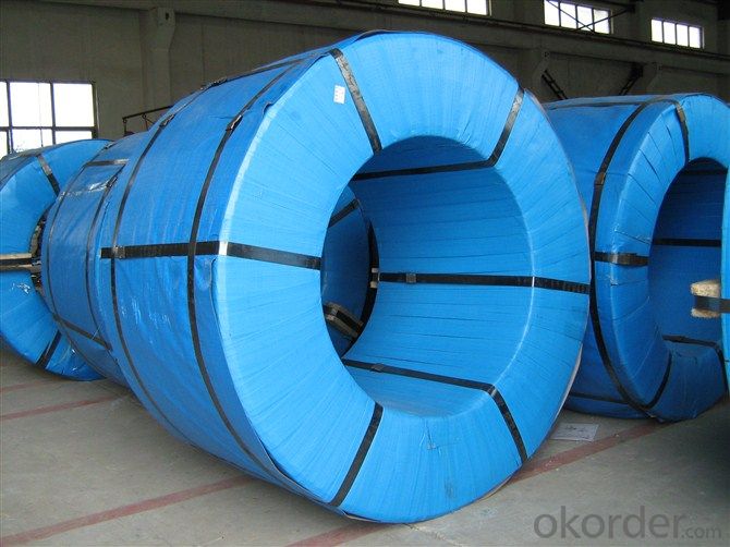 Pre-painted Steel Coil for Super Cold Room Building