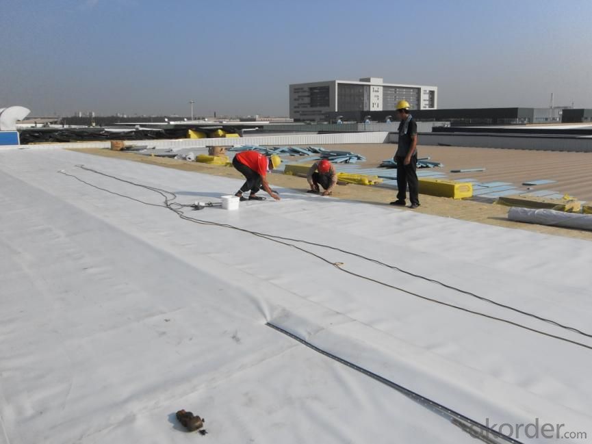 PVC Waterproofing Sheets with Polyester Reinforcement