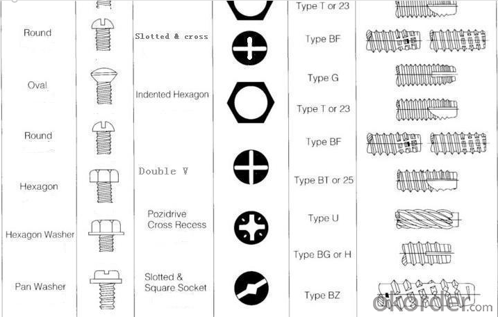 Stainless steel 201 304 316 A2 A4 & Steel C1008A C1022A Screws Manufacturer