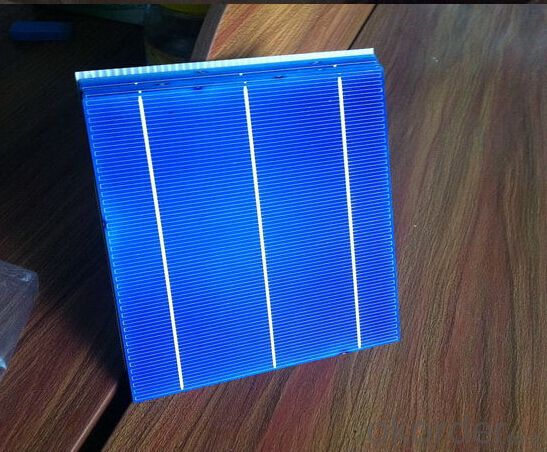 Polycrystalline  Solar Cells Series- 17.00-18.20% 156mmx156mm±0.5mm