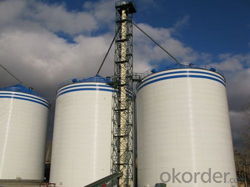 5-100 ton Customized Feed Silo on Sales, Small Farm Silo Used Chicken Poultry Feed Silo